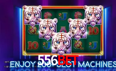 APP oficial da 556bet para mobile